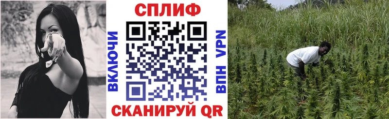 Купить закладку Кодеин  Галлюциногенные грибы  Меф мяу мяу  АМФЕТАМИН  Cocaine  Якутск