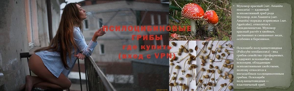 дмт Краснослободск
