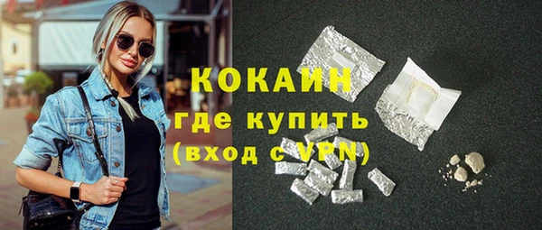 дмт Краснослободск