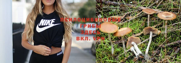 марки nbome Красноперекопск