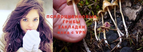дмт Краснослободск