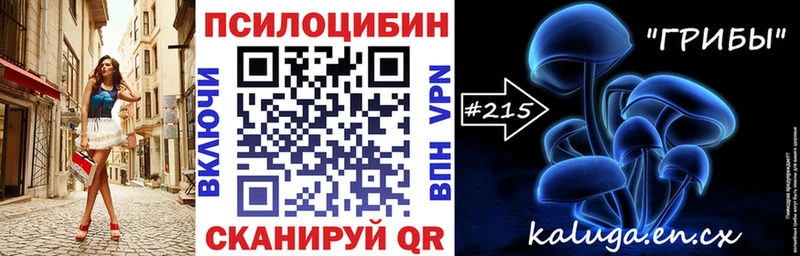 Псилоцибиновые грибы Psilocybe  Купить закладки  Якутск 